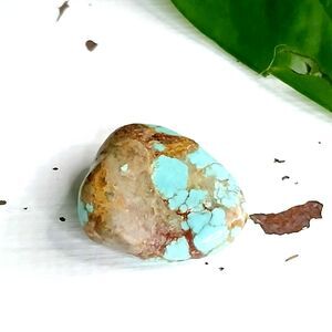 Polished Genuine Turquoise Crystal - 1" - Jewelry Making